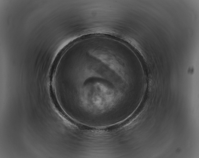 X0000091651024200708231216