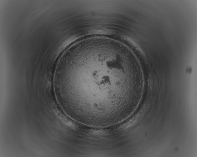 X0000091651025200708231216