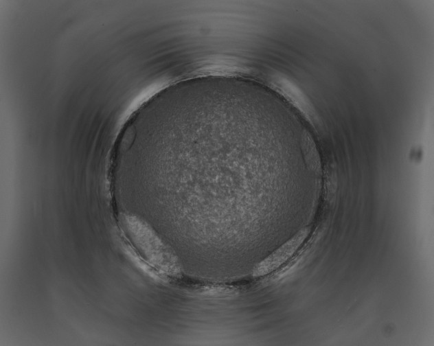 X0000091651026200708231216