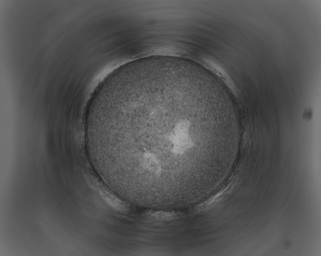 X0000091651027200708231216