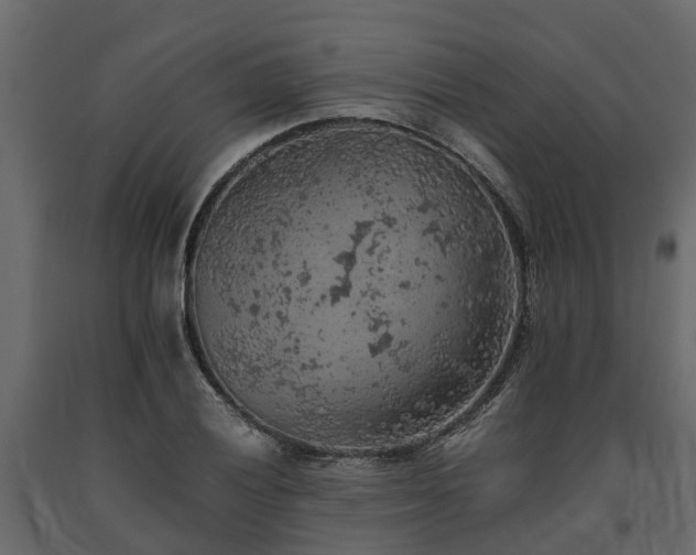 X0000091651028200708231216