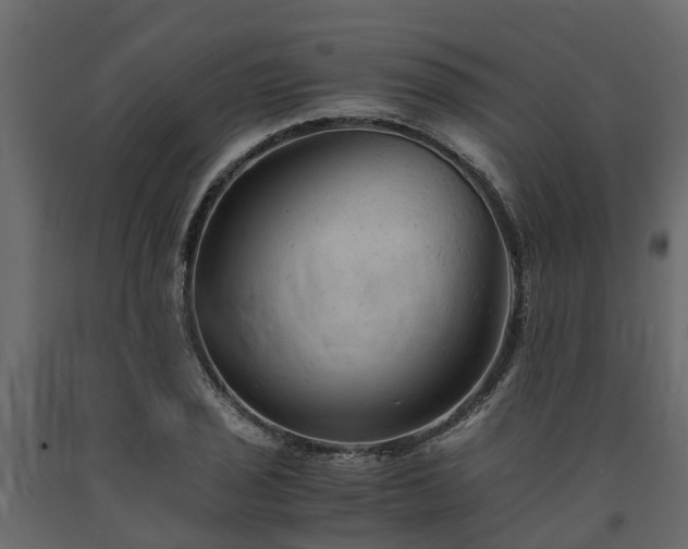 X0000091651029200708231217
