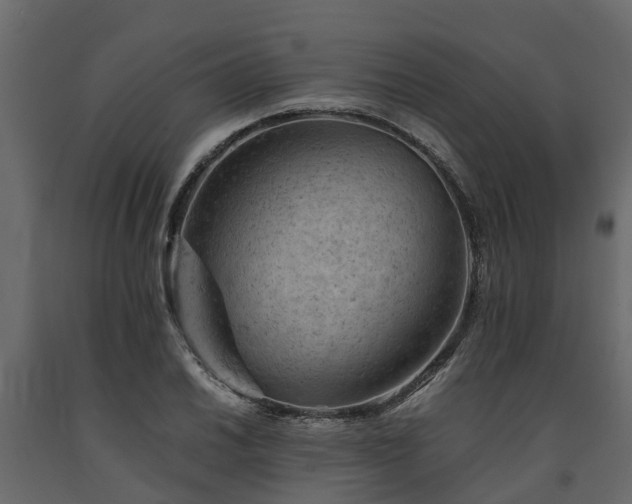X0000091651030200708231217