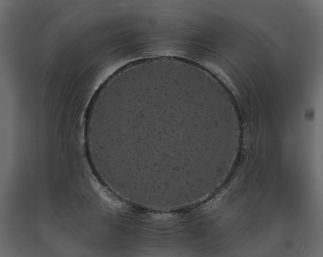 X0000091651031200708231217