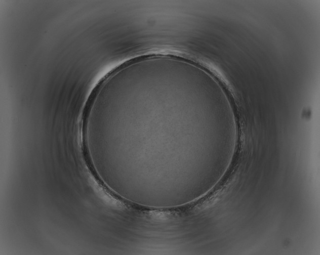 X0000091651032200708231217