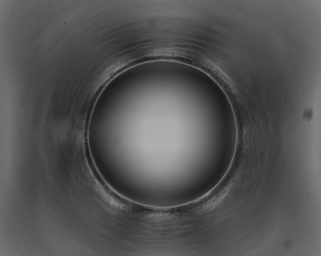 X0000091651033200708231217
