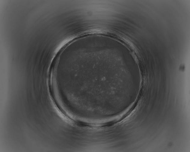 X0000091651034200708231217