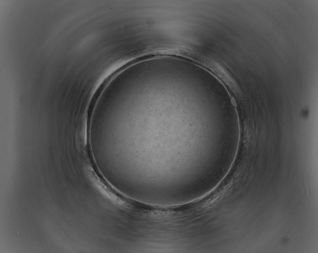 X0000091651036200708231217