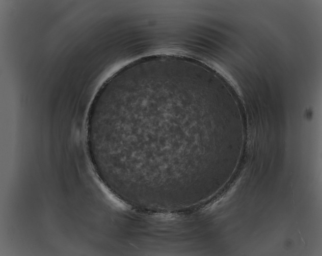 X0000091651037200708231217