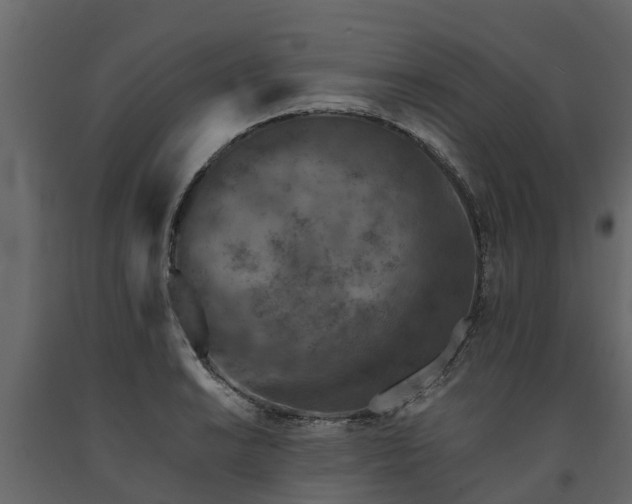 X0000091651038200708231217