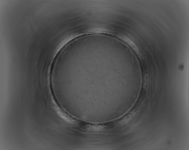 X0000091651039200708231217