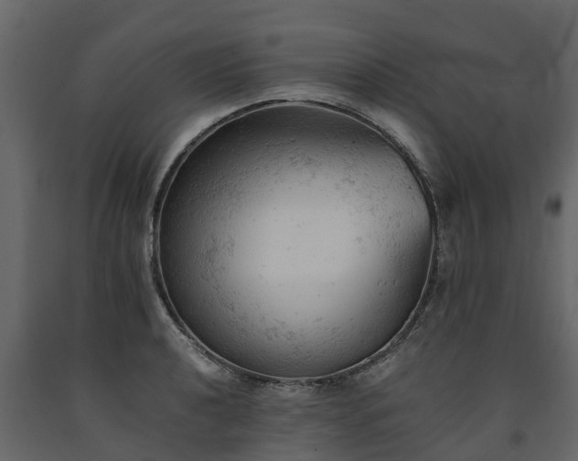 X0000091651040200708231217