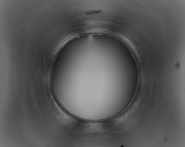 X0000091651041200708231217