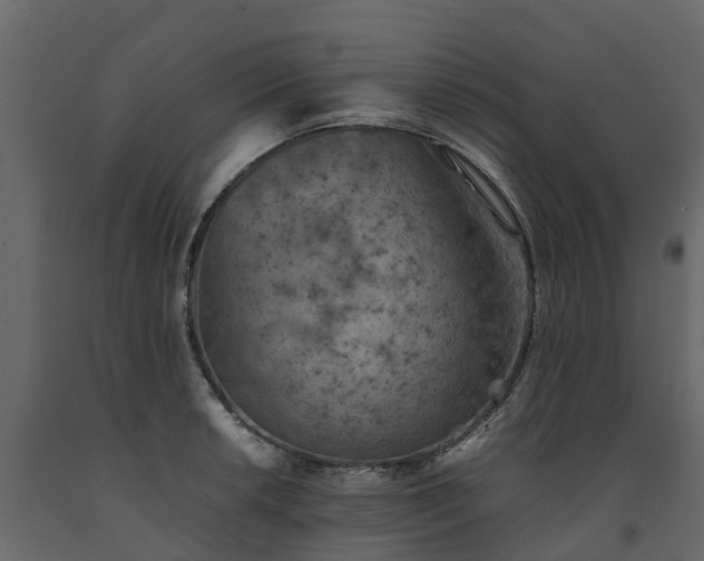X0000091651042200708231217