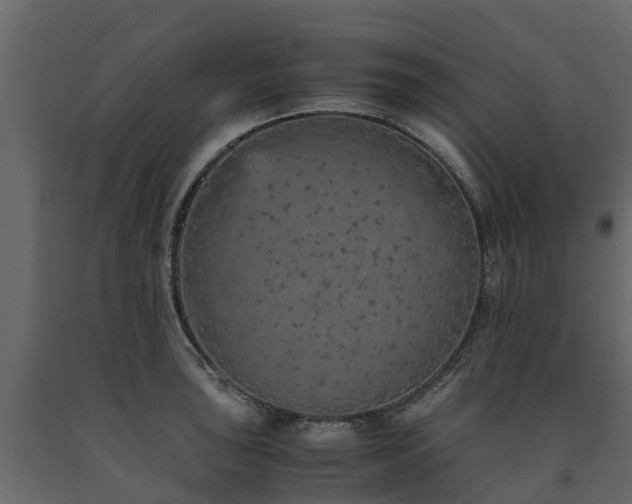 X0000091651043200708231217