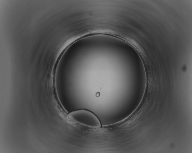 X0000091651044200708231217
