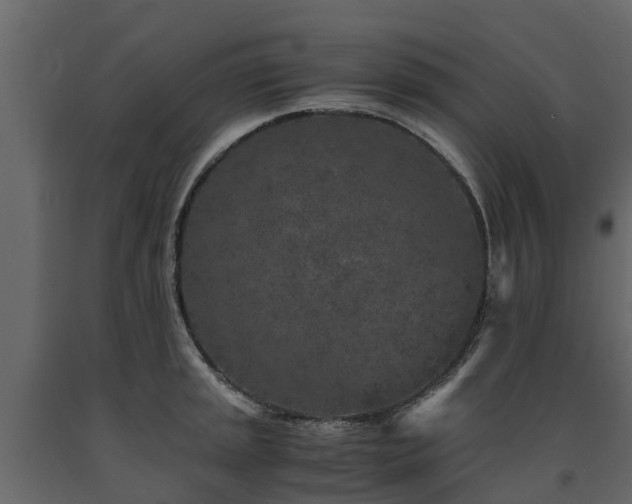 X0000091651045200708231217