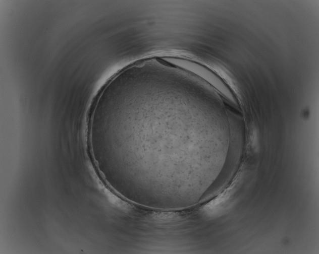 X0000091651046200708231217