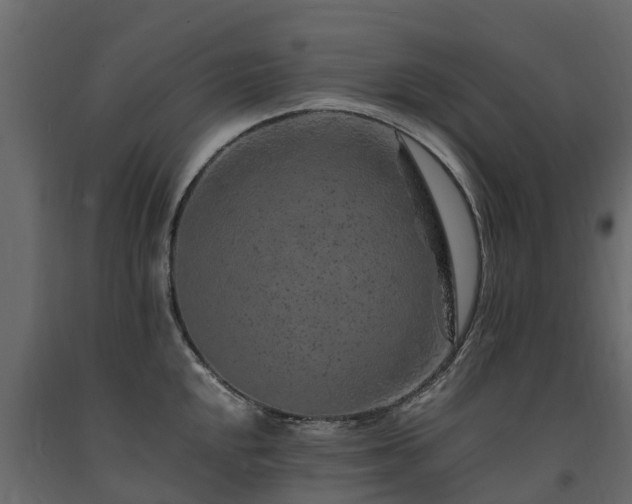 X0000091651048200708231217