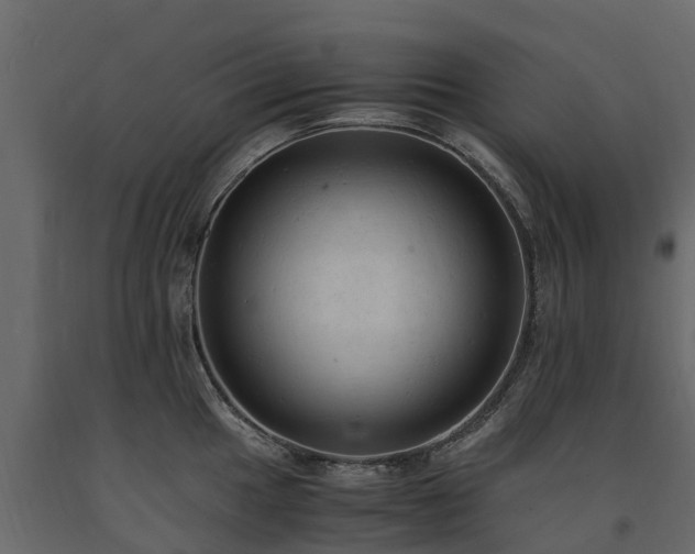 X0000091651049200708231217