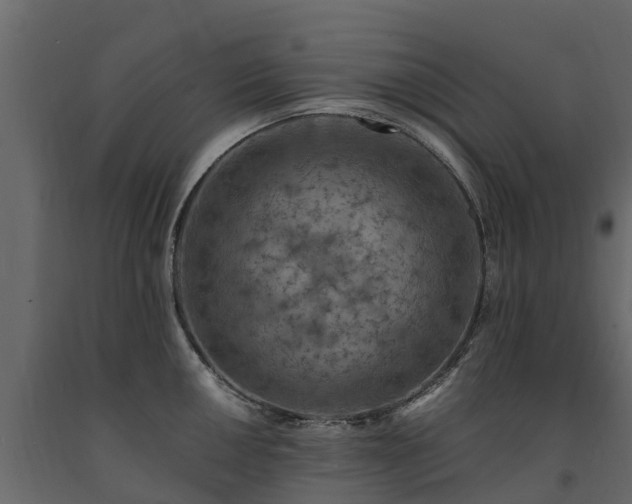 X0000091651050200708231217
