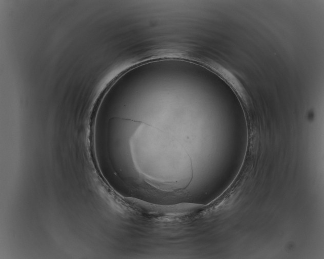 X0000091651051200708231217
