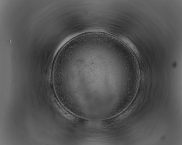 X0000091651052200708231217