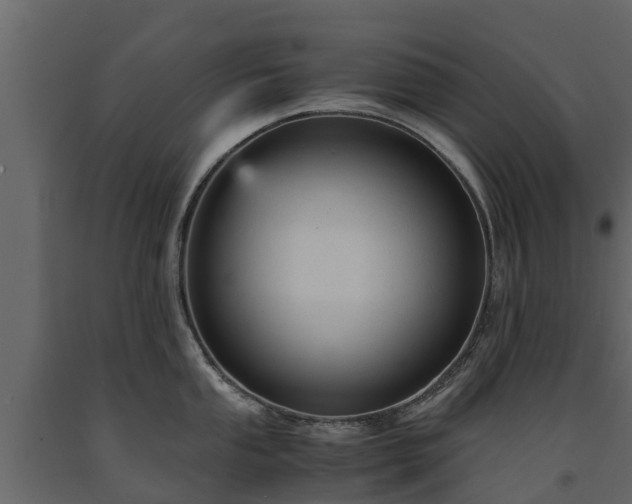 X0000091651053200708231217