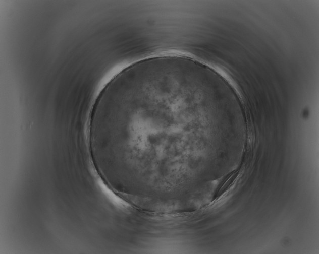 X0000091651054200708231217