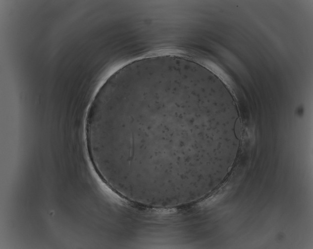 X0000091651055200708231217