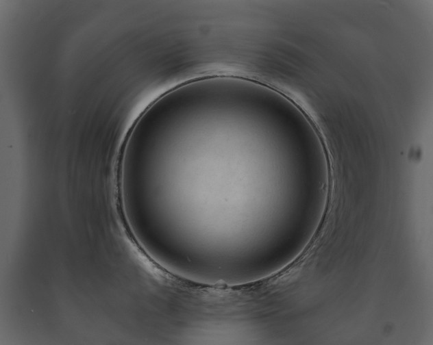 X0000091651056200708231217