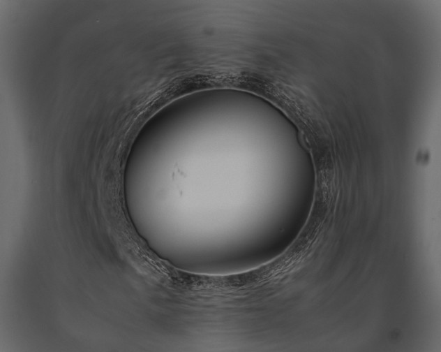 X0000091651057200708231216