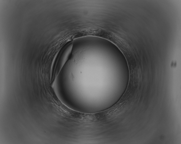 X0000091651058200708231216