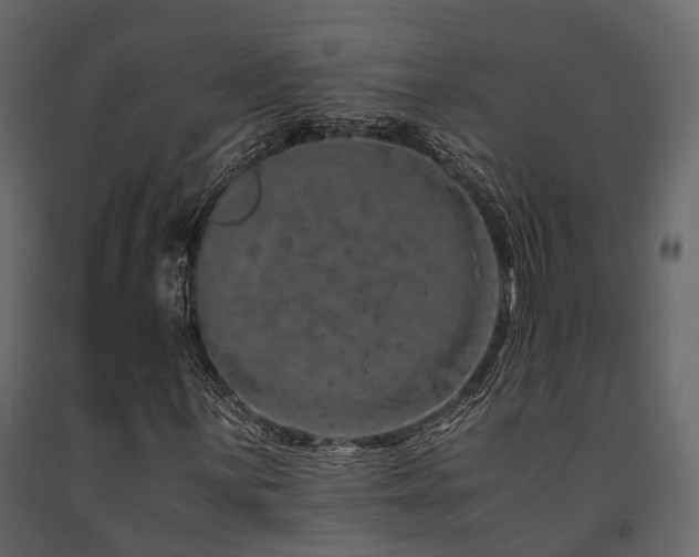 X0000091651059200708231216