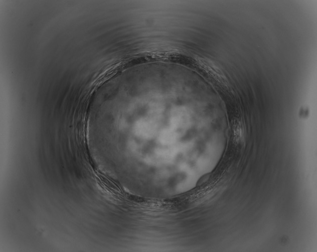 X0000091651060200708231216