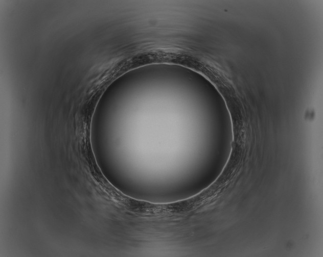 X0000091651061200708231216