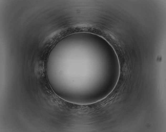 X0000091651062200708231216