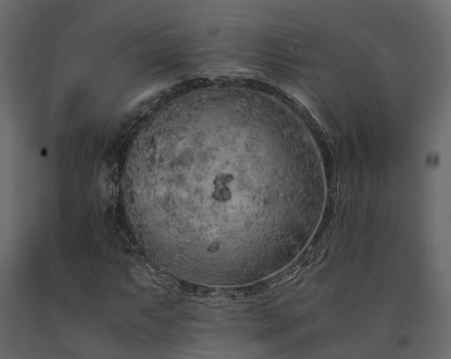 X0000091651063200708231216