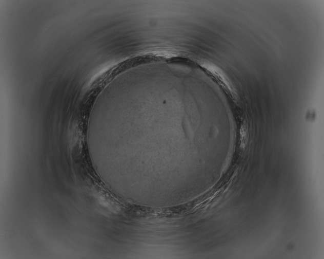 X0000091651064200708231216