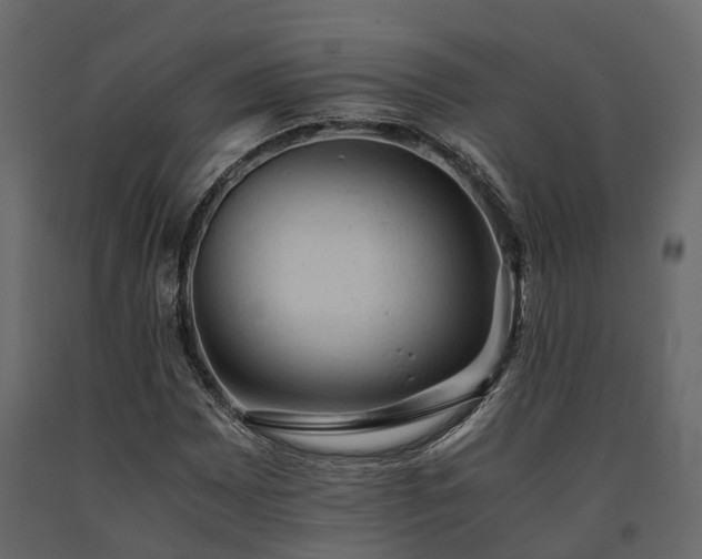 X0000091651065200708231216
