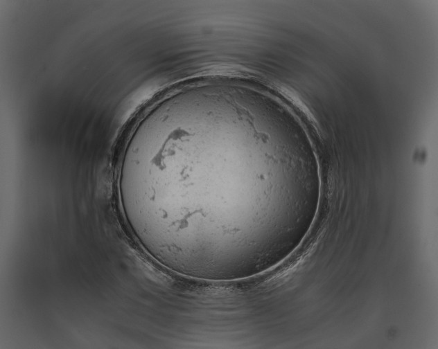 X0000091651067200708231216