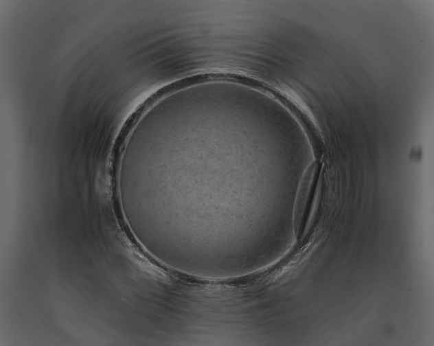 X0000091651068200708231216