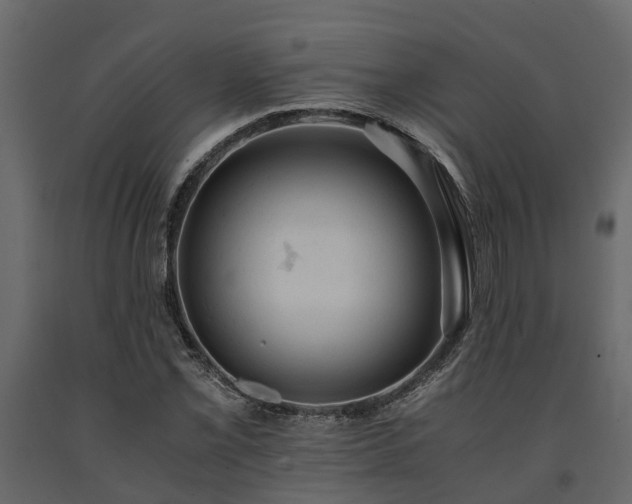 X0000091651069200708231216
