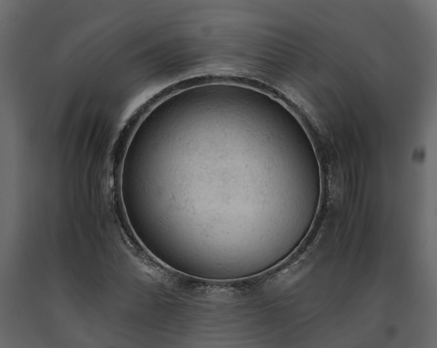X0000091651070200708231216