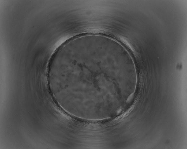 X0000091651071200708231216