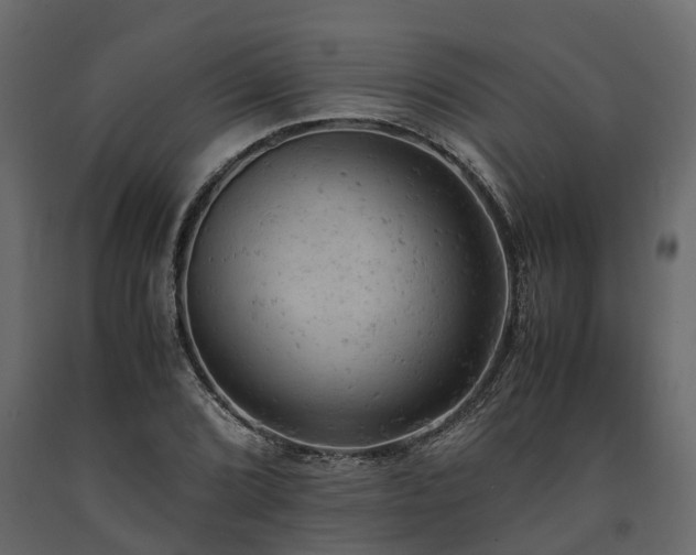 X0000091651072200708231216