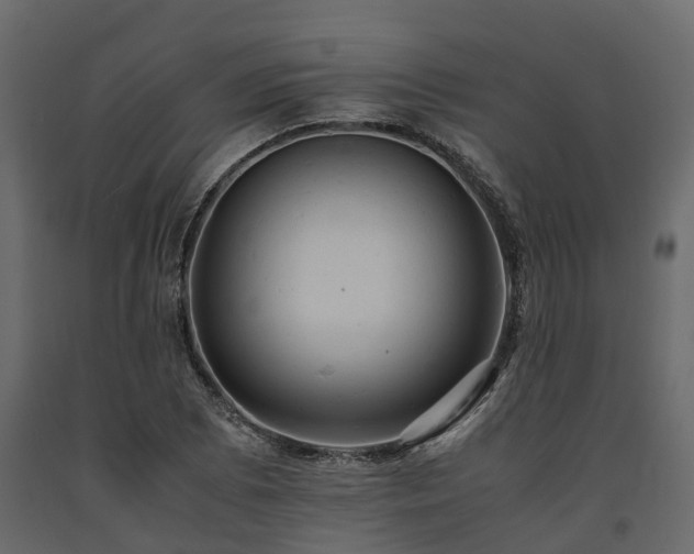 X0000091651073200708231216