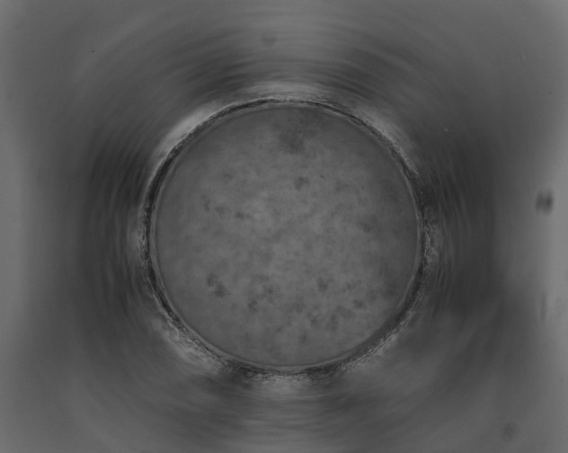 X0000091651074200708231216
