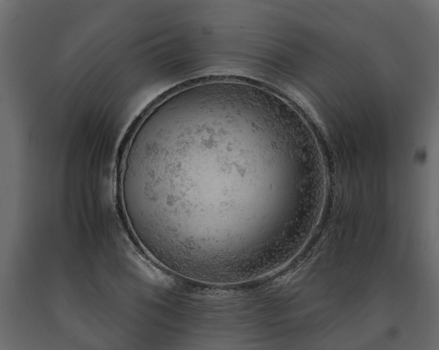X0000091651076200708231216