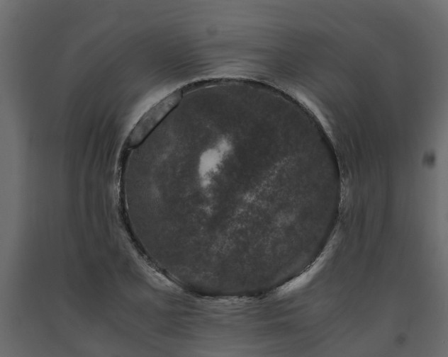 X0000091651077200708231216